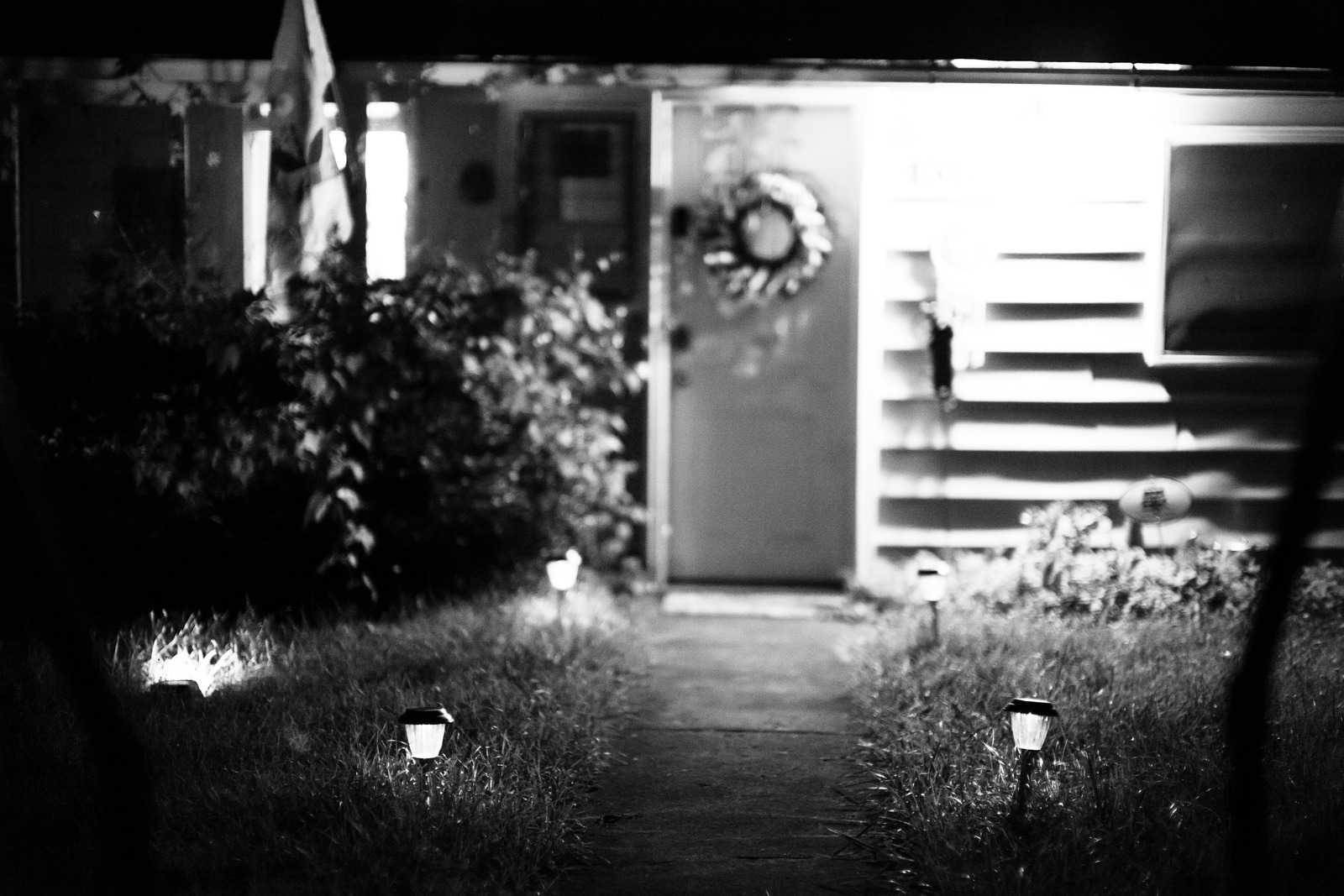 Nighttime Serenity