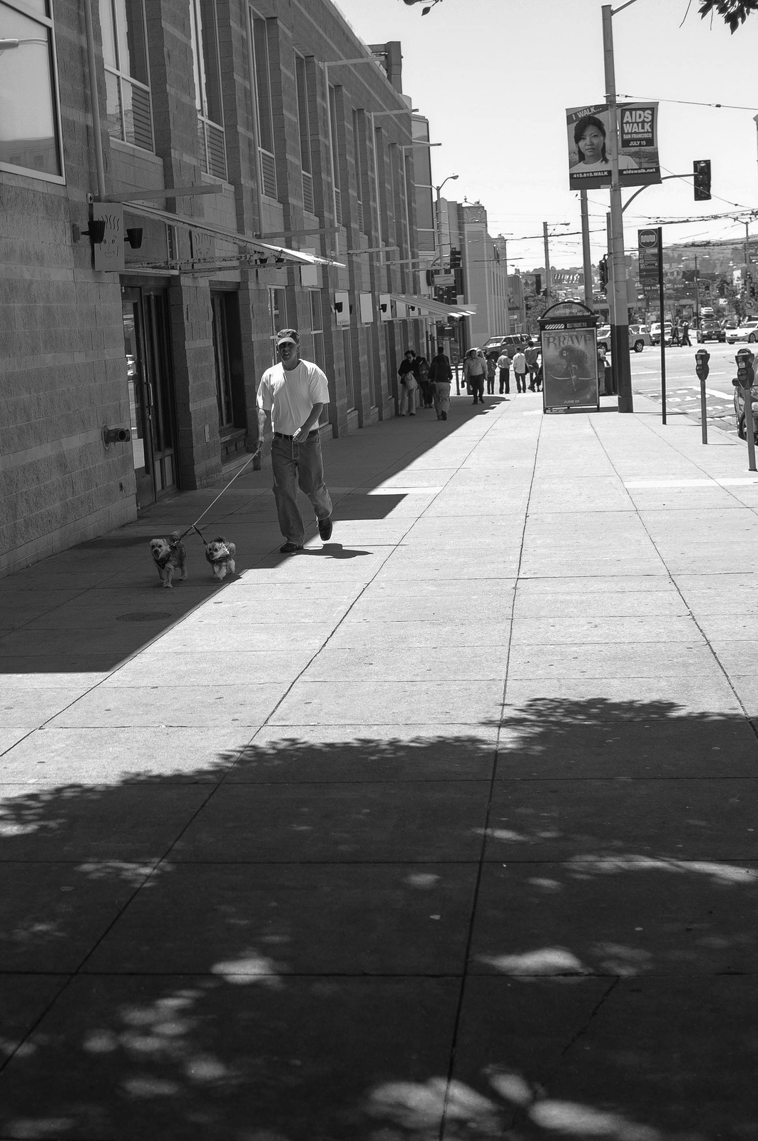 Walk in Shadows