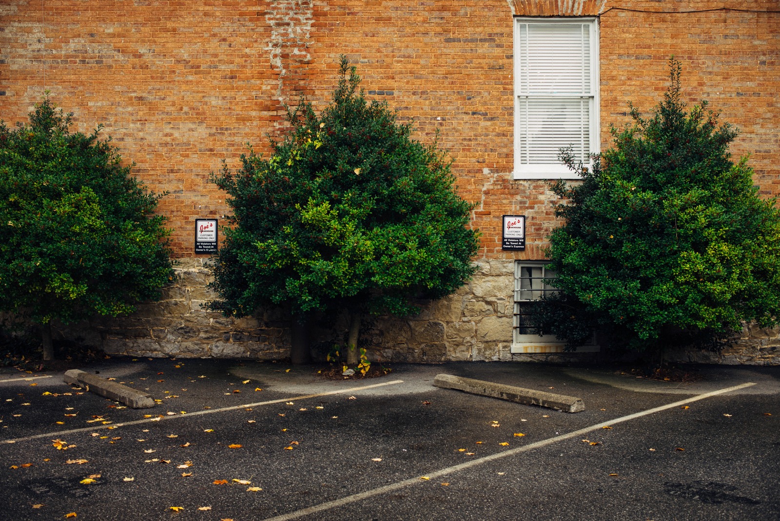 Urban Stillness