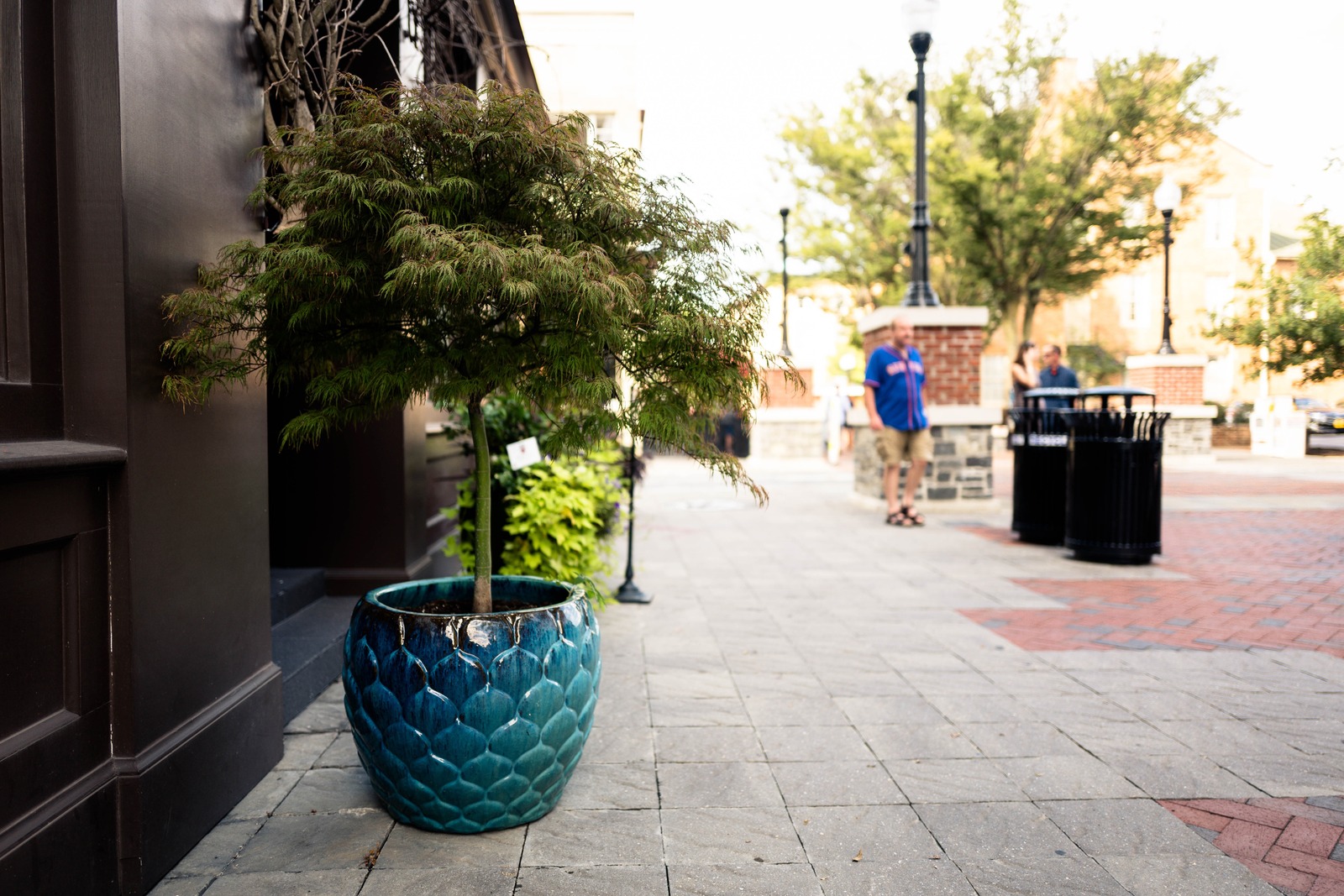 Urban Serenity