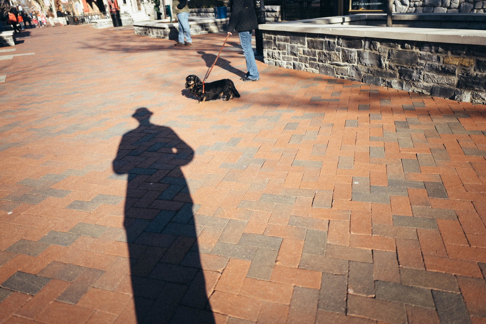 Shadows and Strolls