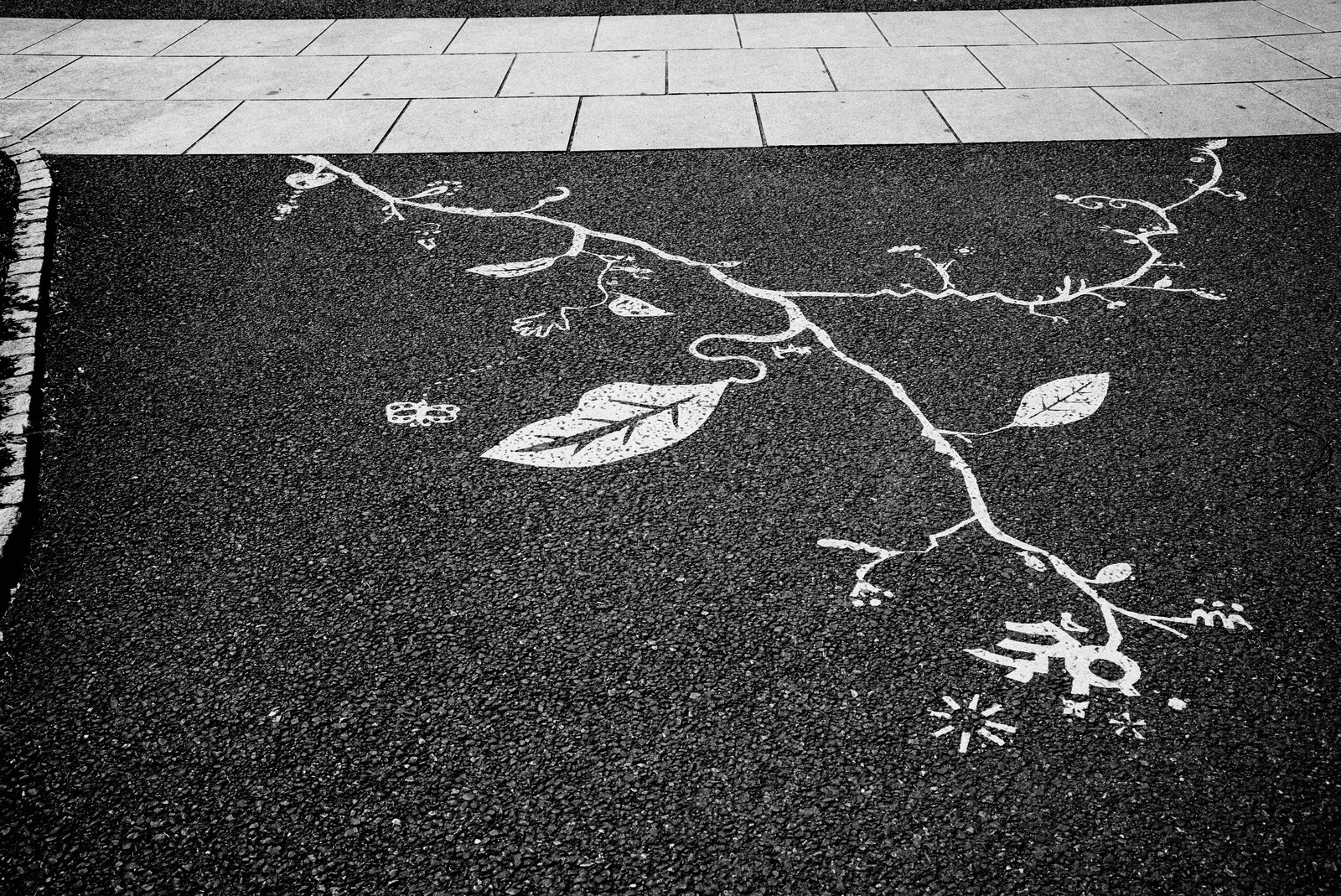 Urban Nature