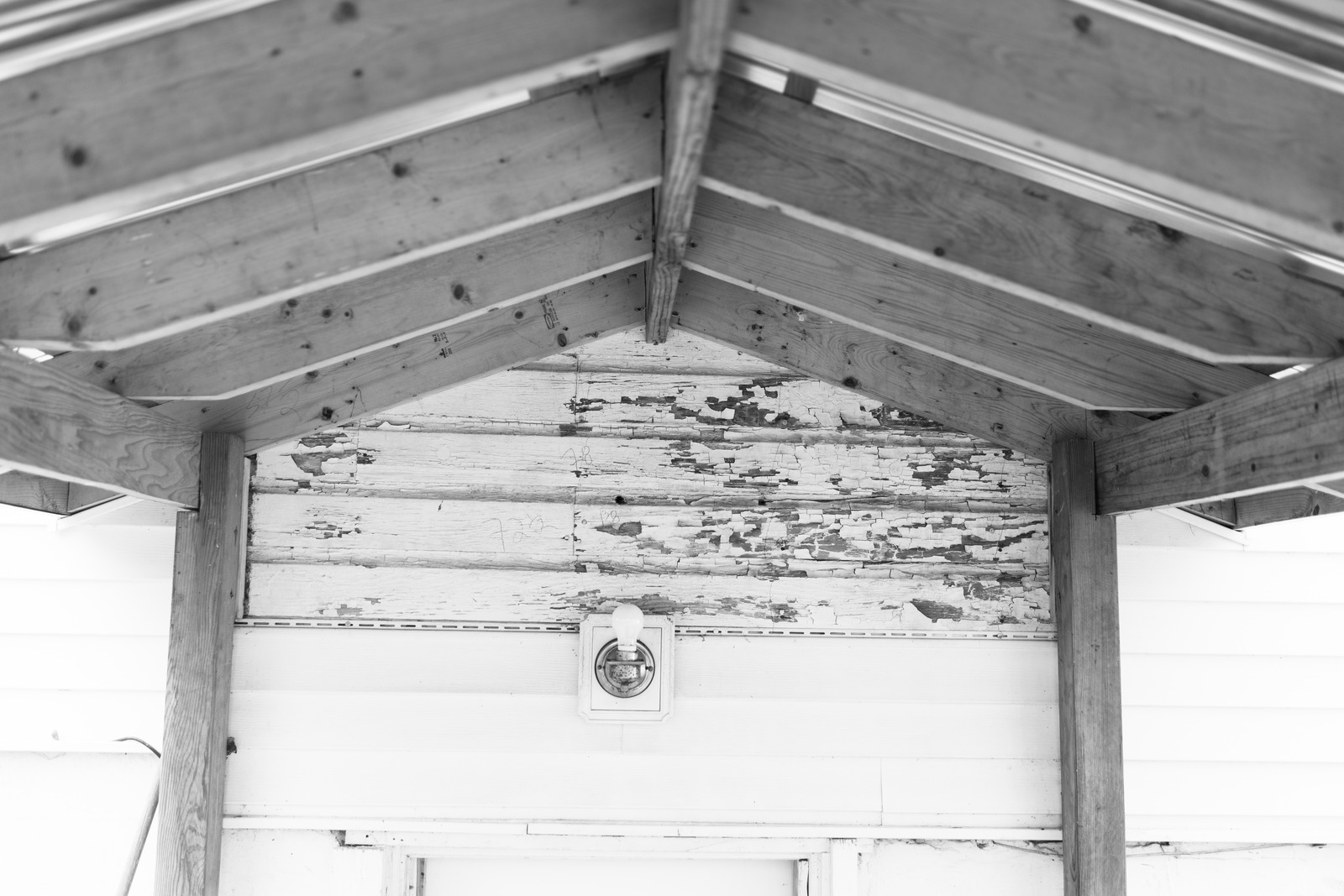 Aging Shelter
