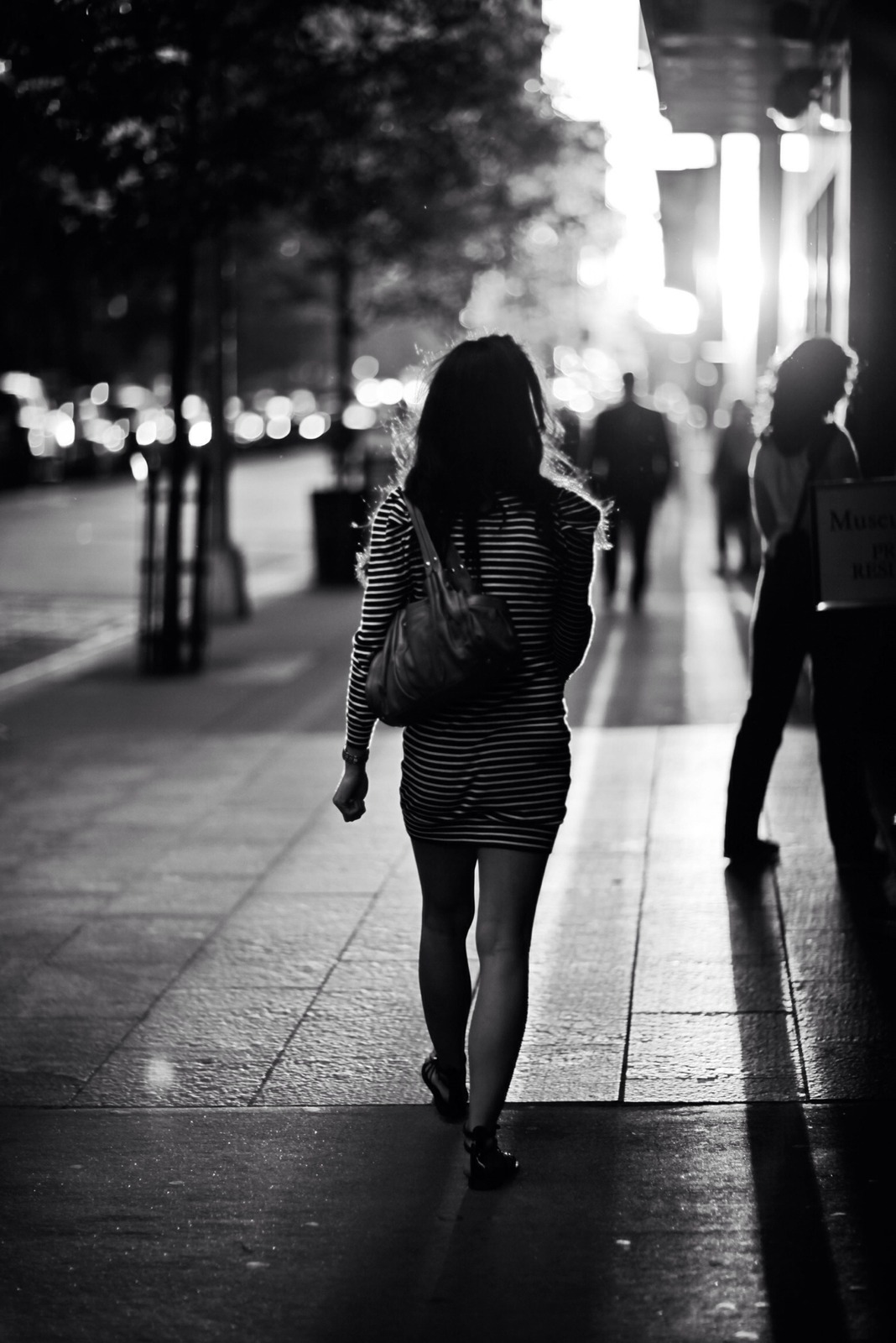 Evening Stride