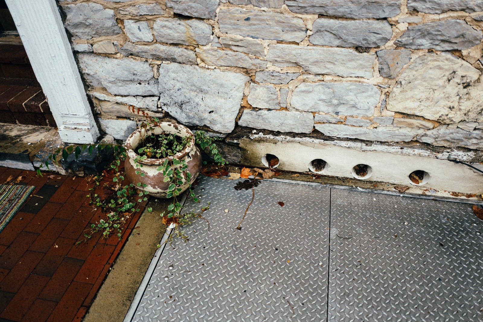Nature Meets Urban