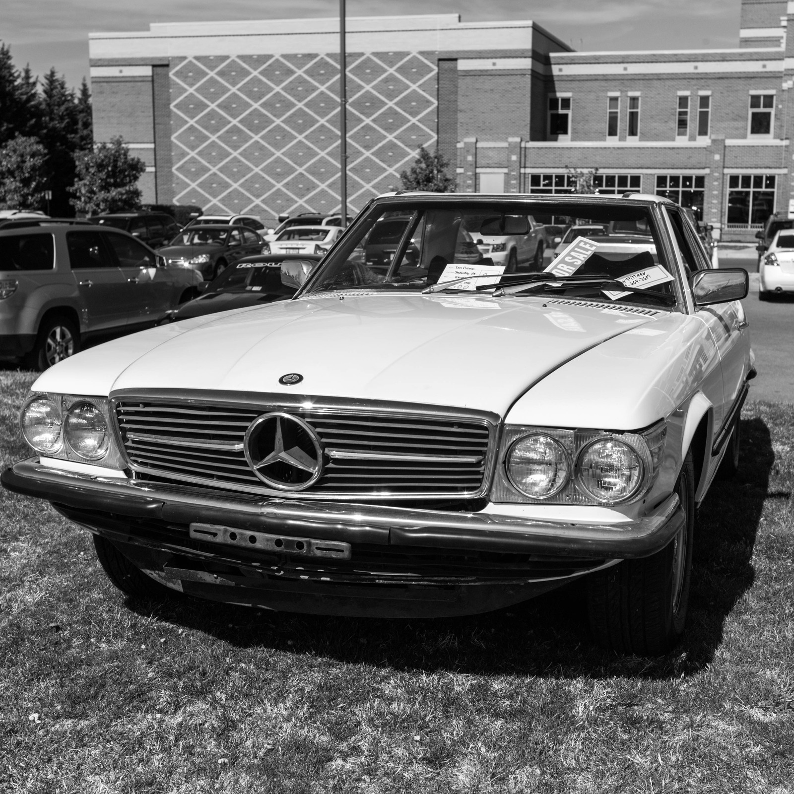 Timeless Elegance