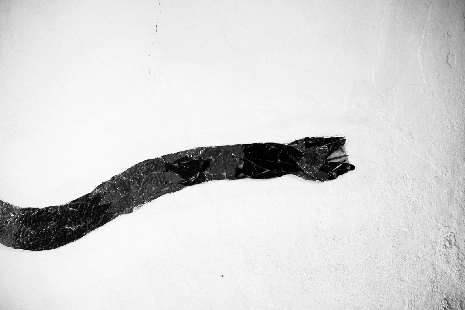 Ethereal Shadow
