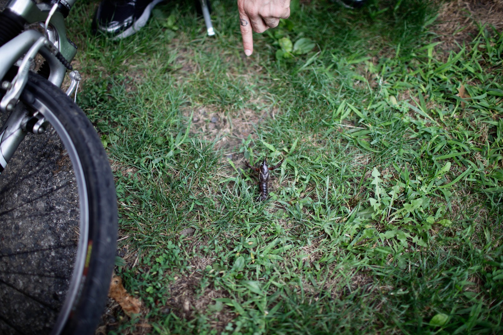Nature Encounter