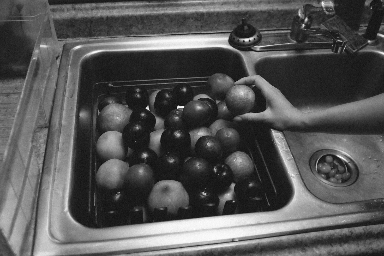 Fruits in Shadows
