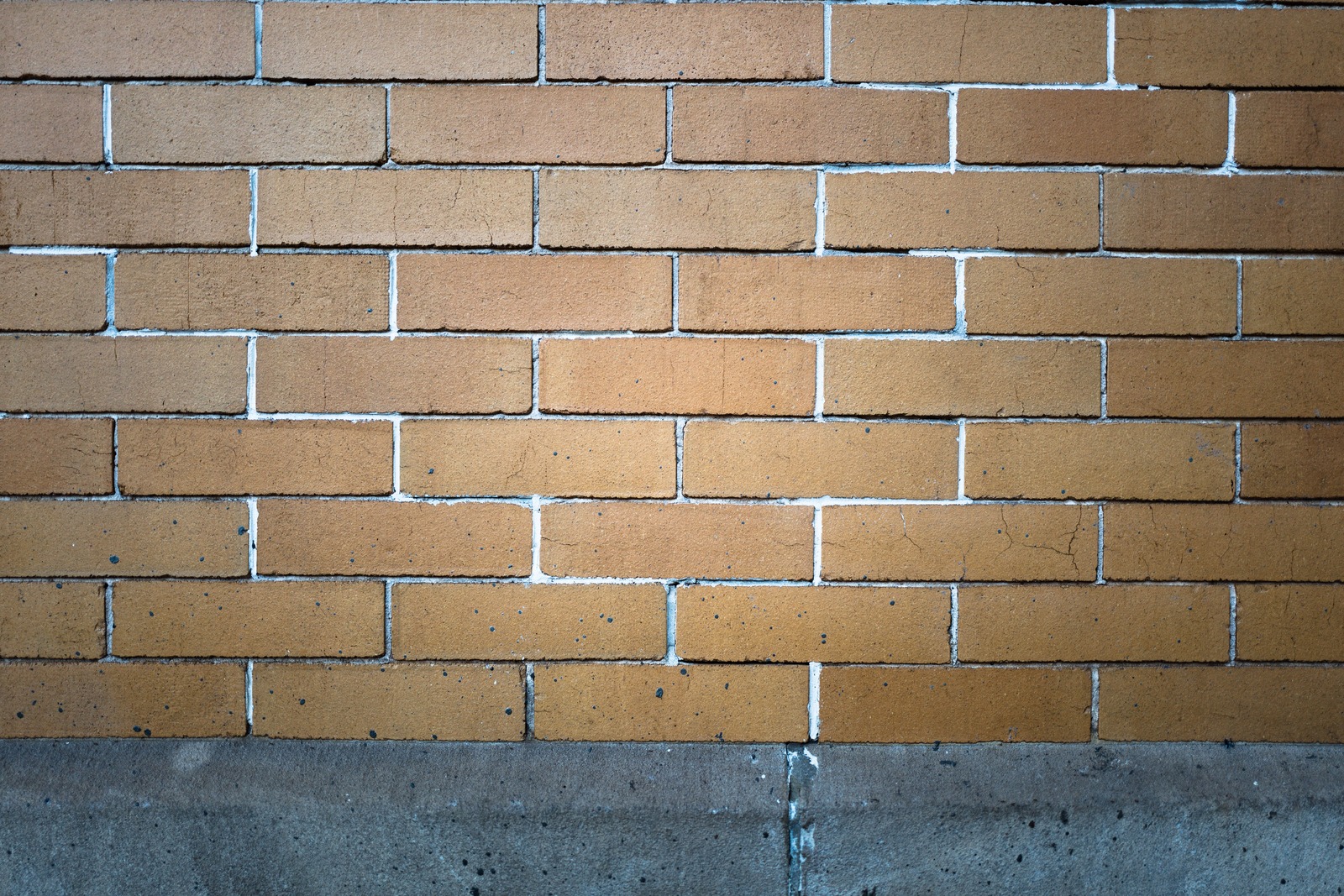 Urban Texture Study