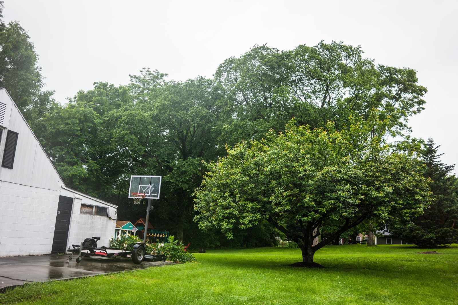 Rainy Day Serenity