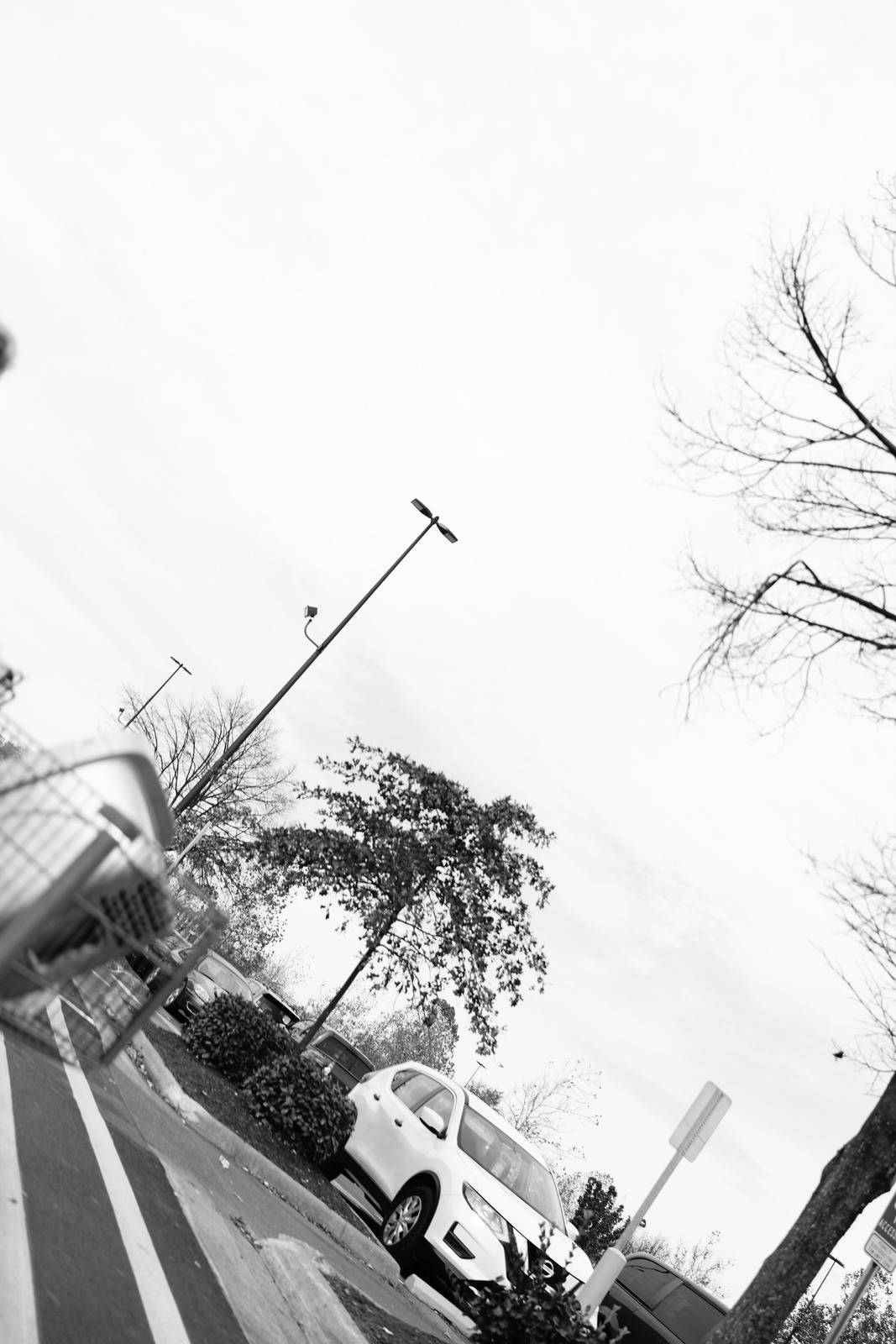 Urban Stillness