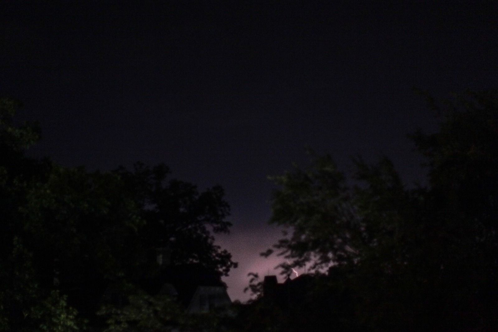 Mystic Nightscape