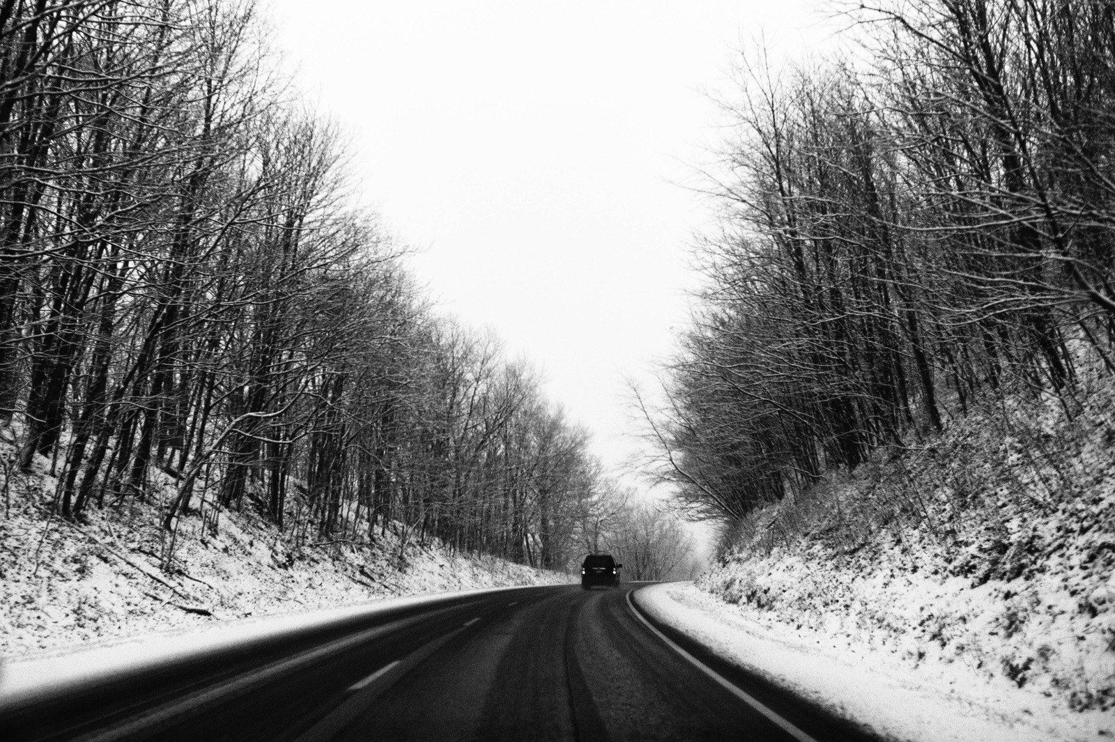 Winter's Solitude