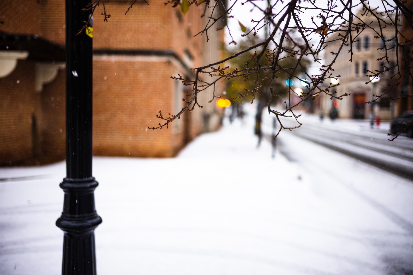 Winter's Whisper