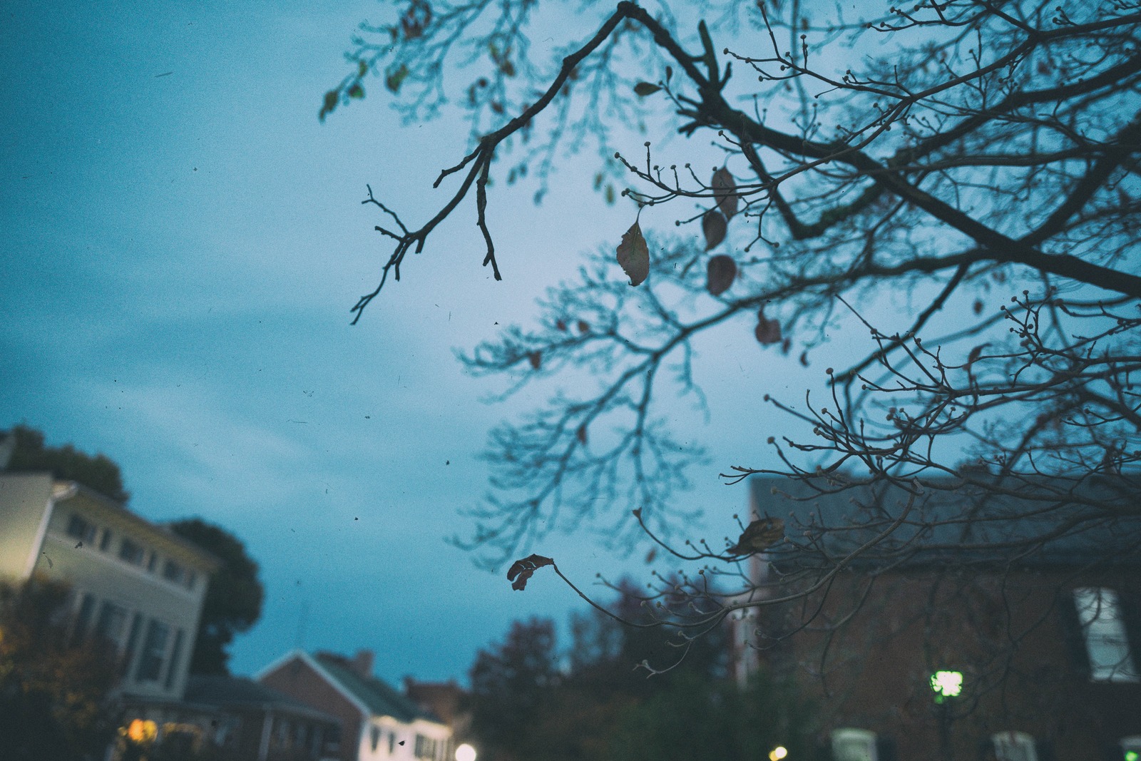 Whispers of Autumn