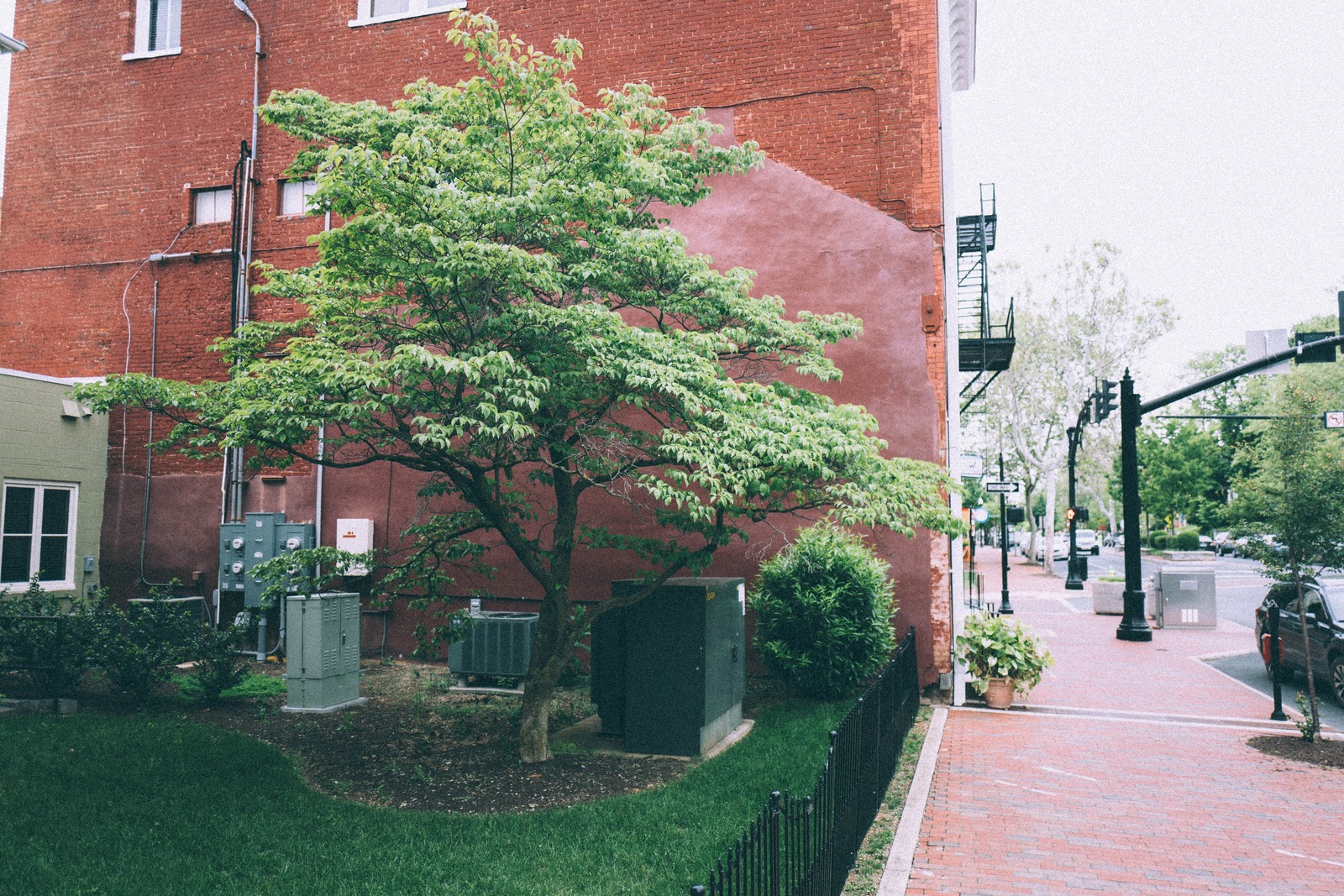 Urban Greenery