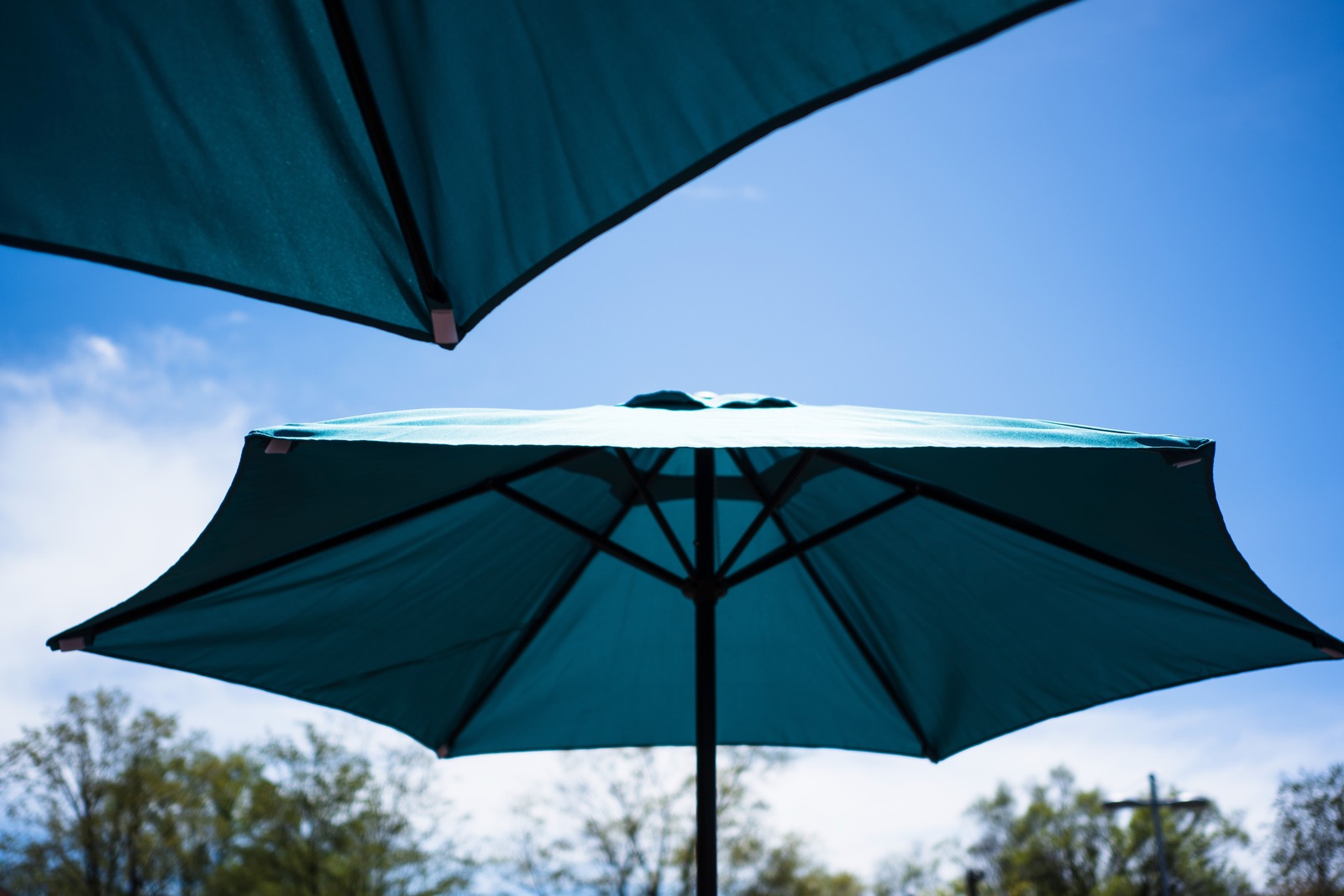 Summer Canopy