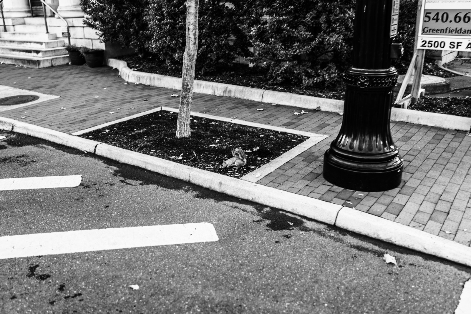 Urban Solitude