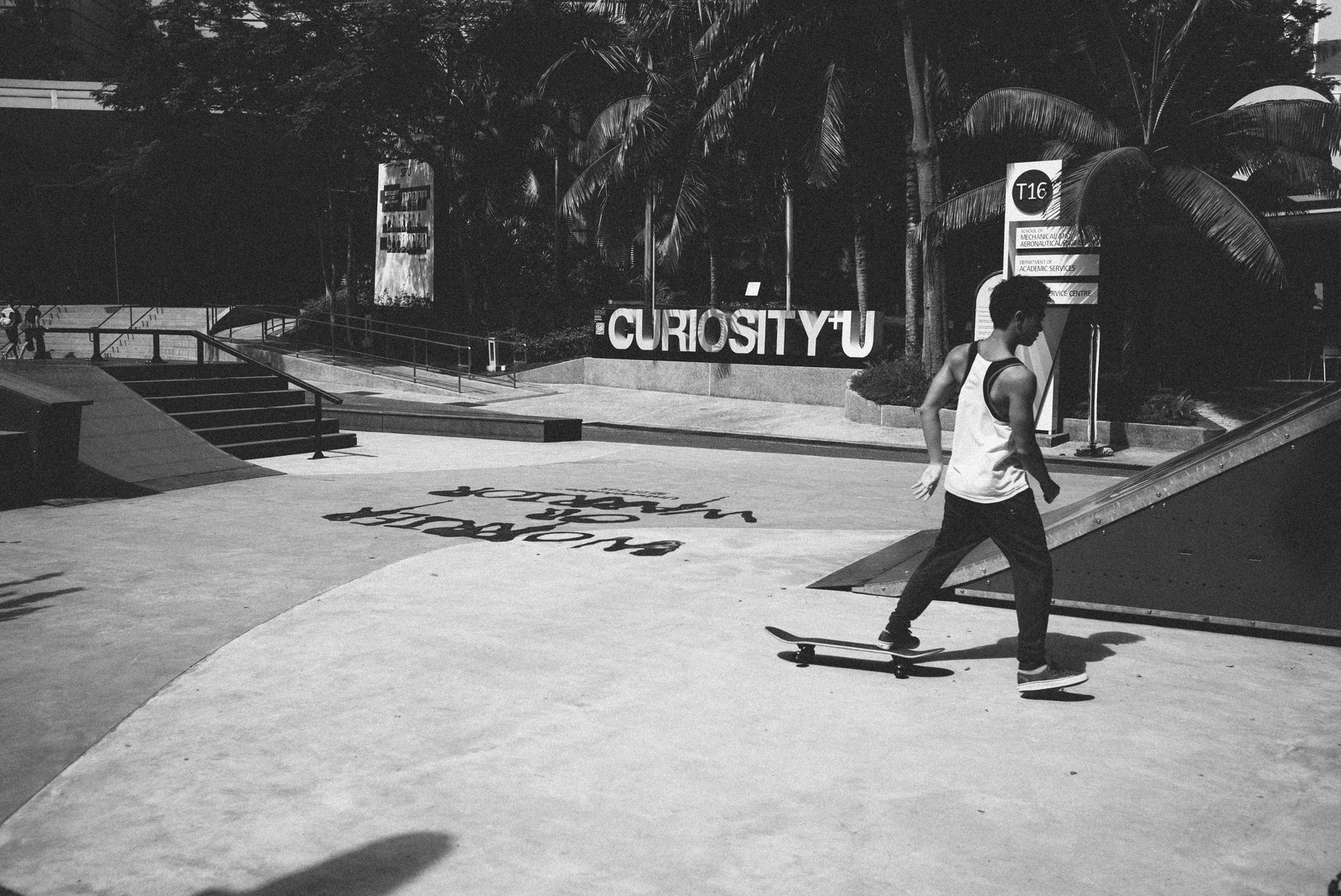 Skater in Motion