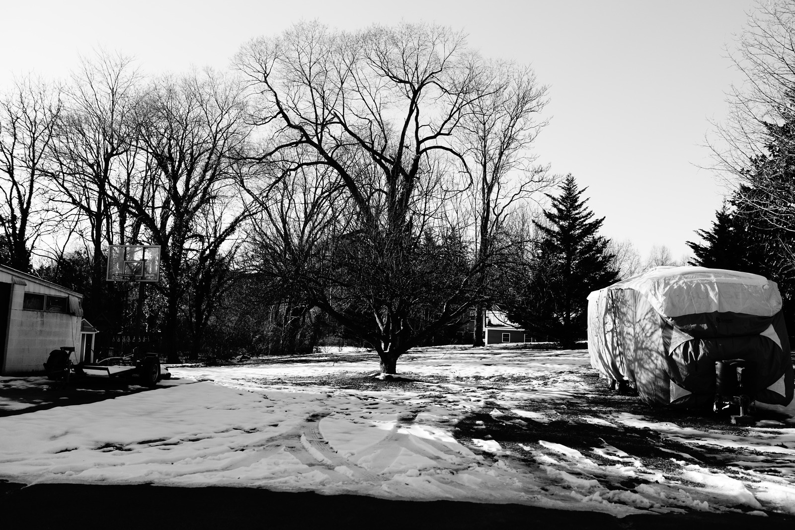 Winter's Embrace
