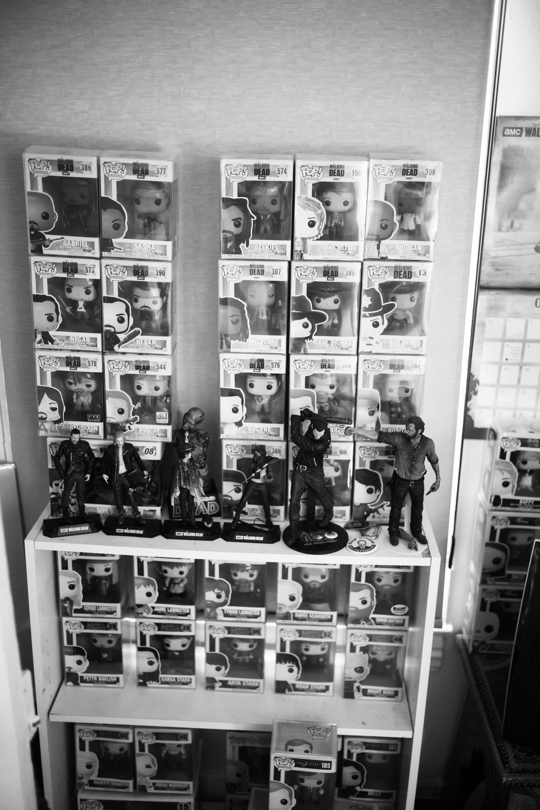 Shelf of Nostalgia