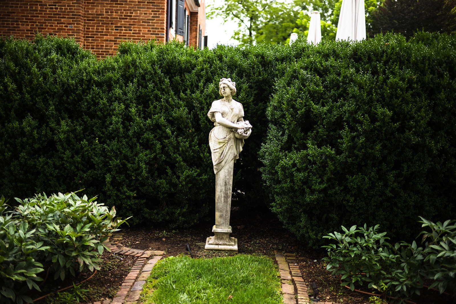 Garden Serenity