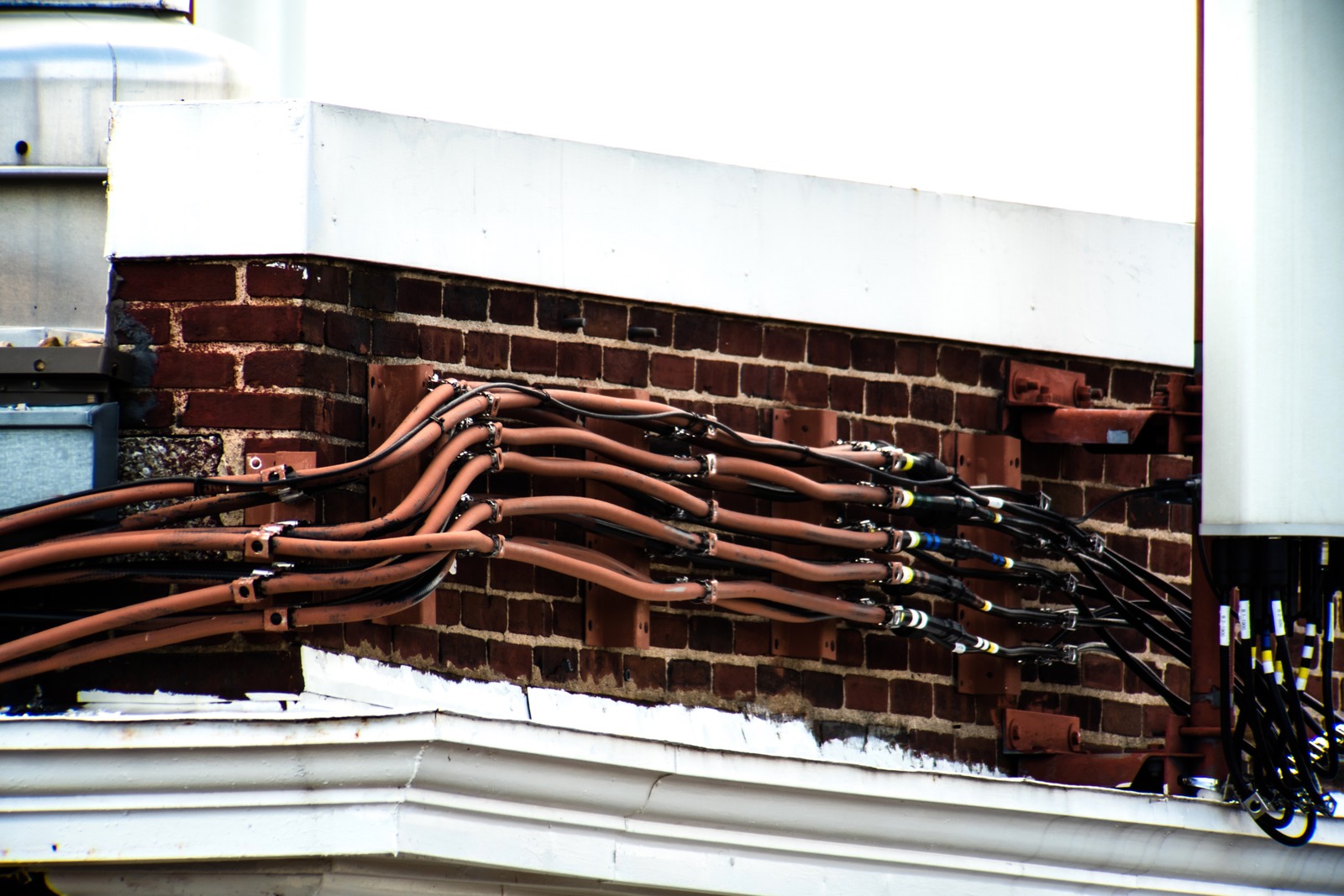 Urban Tangle