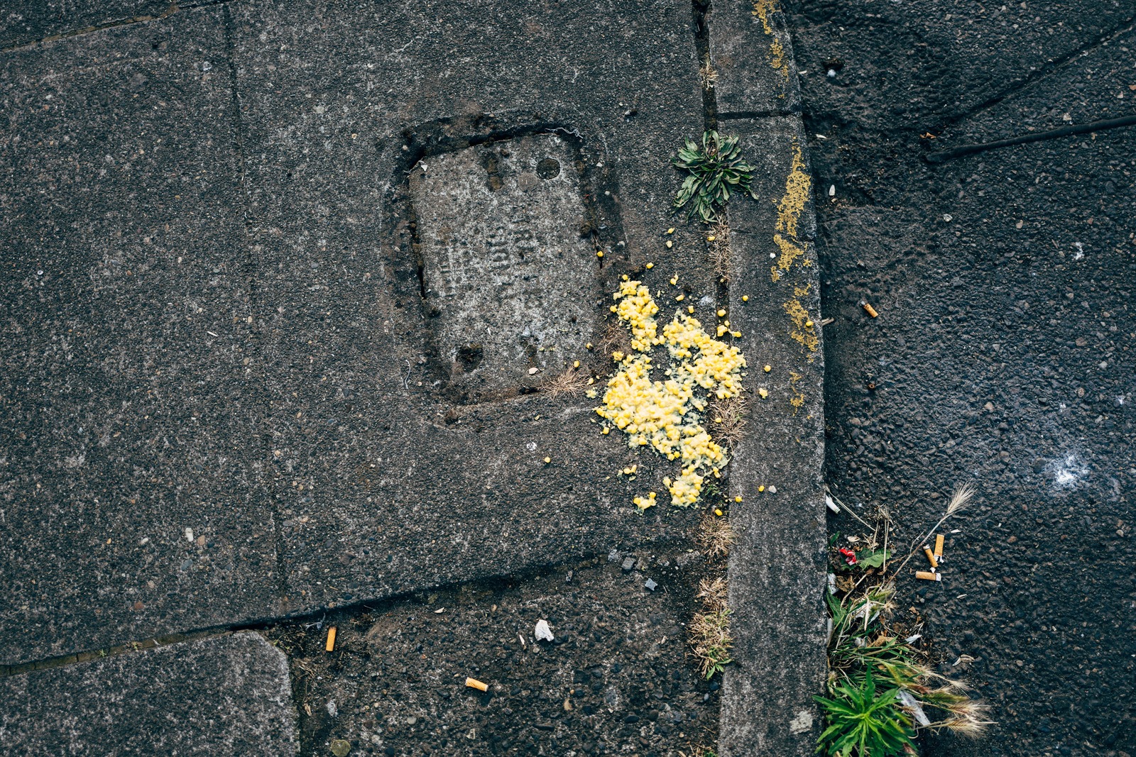 Urban Decay