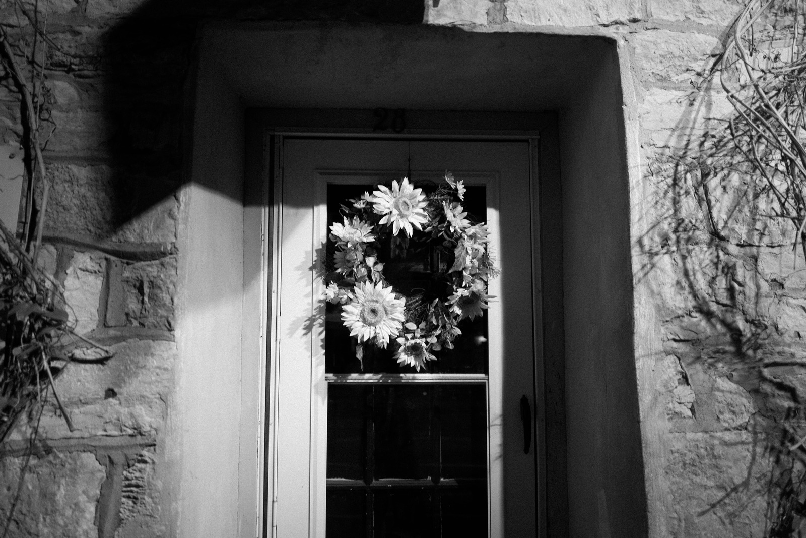 Welcome in Shadows