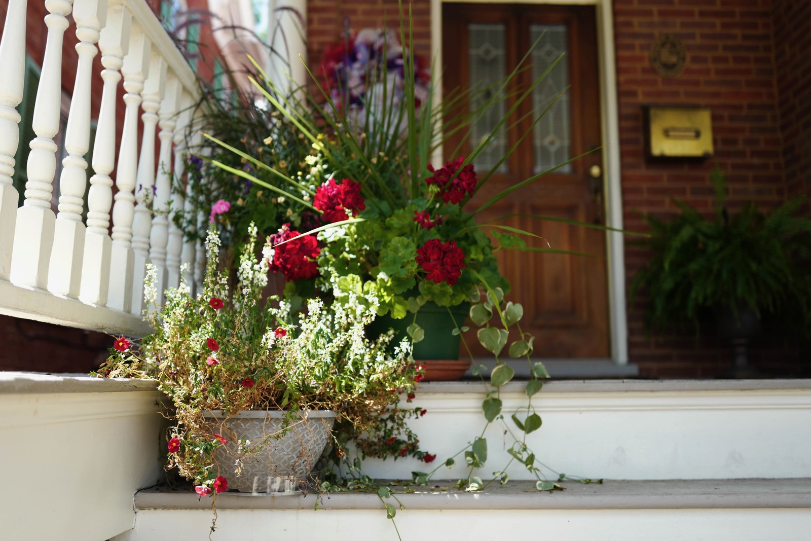 Welcoming Flora