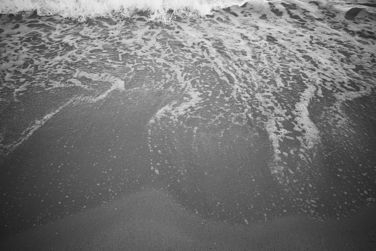 Tidal Whispers
