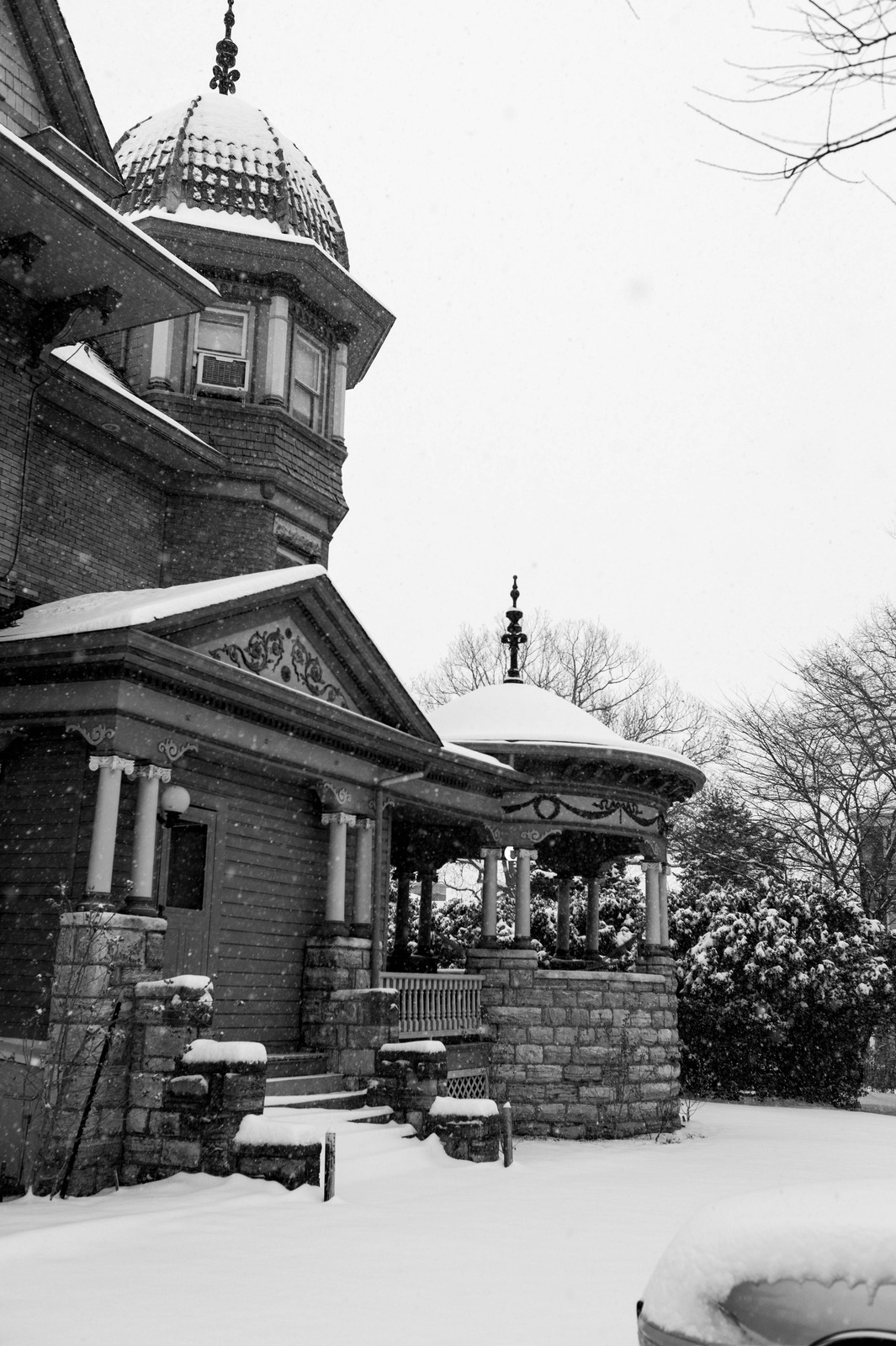 Winter's Embrace