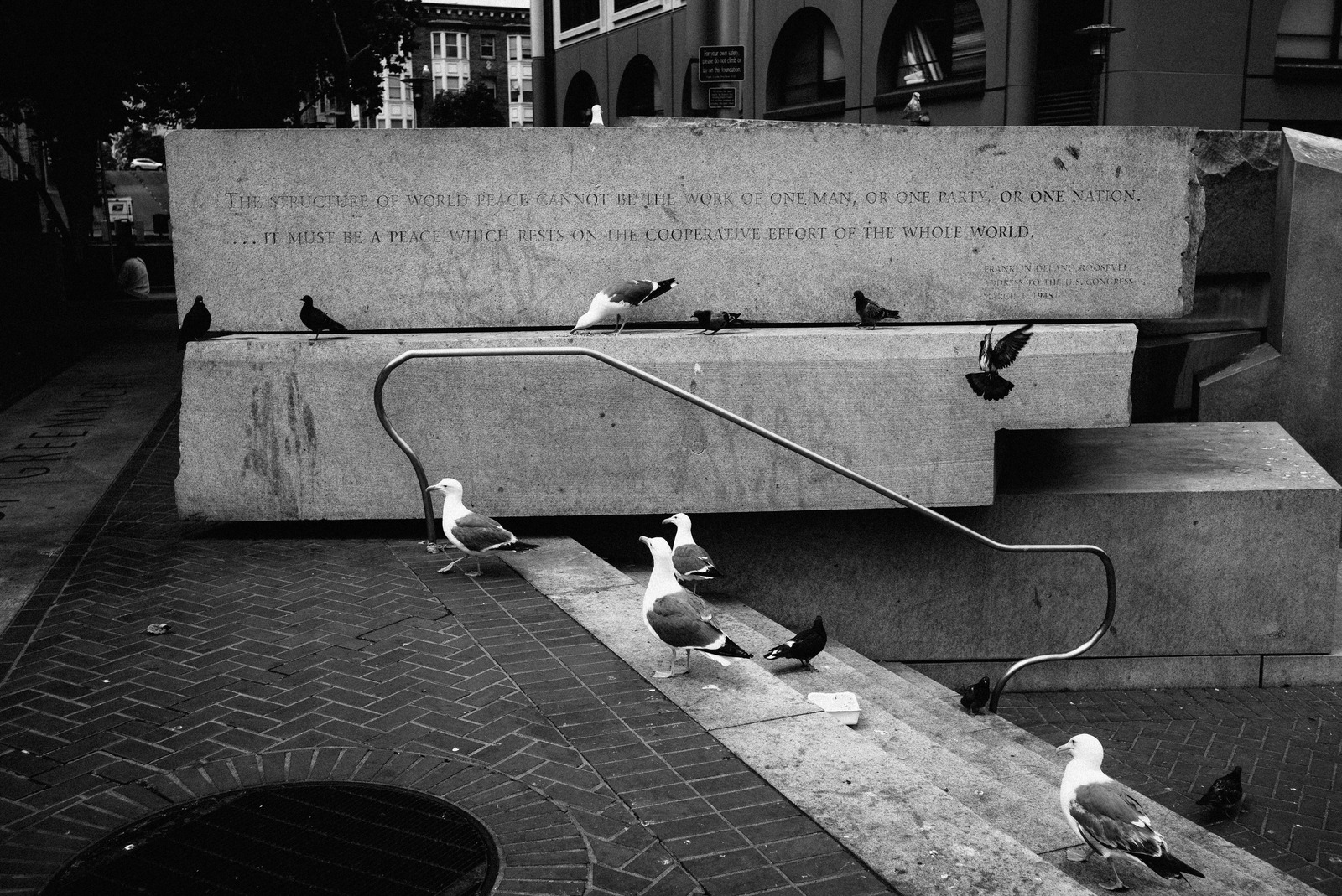 Urban Serenity