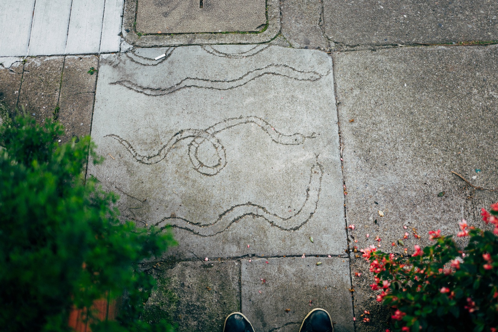 Urban Whimsy