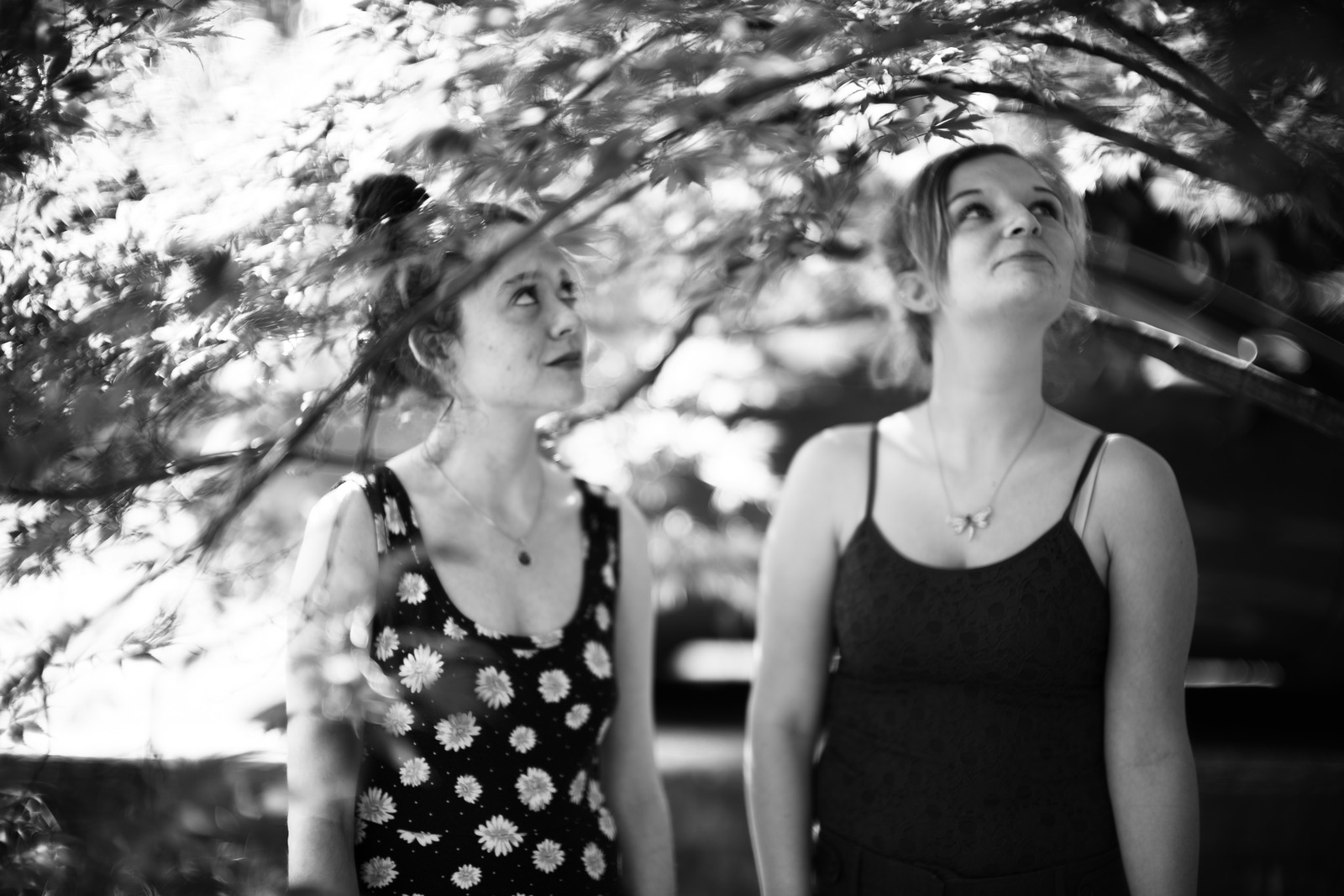 Under the Canopy
