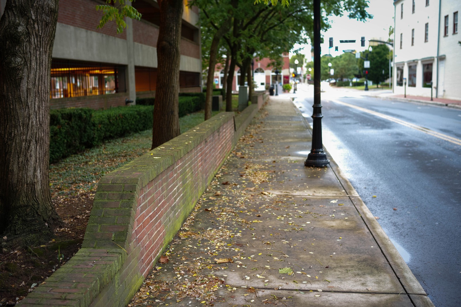 Quiet Urban Pathway