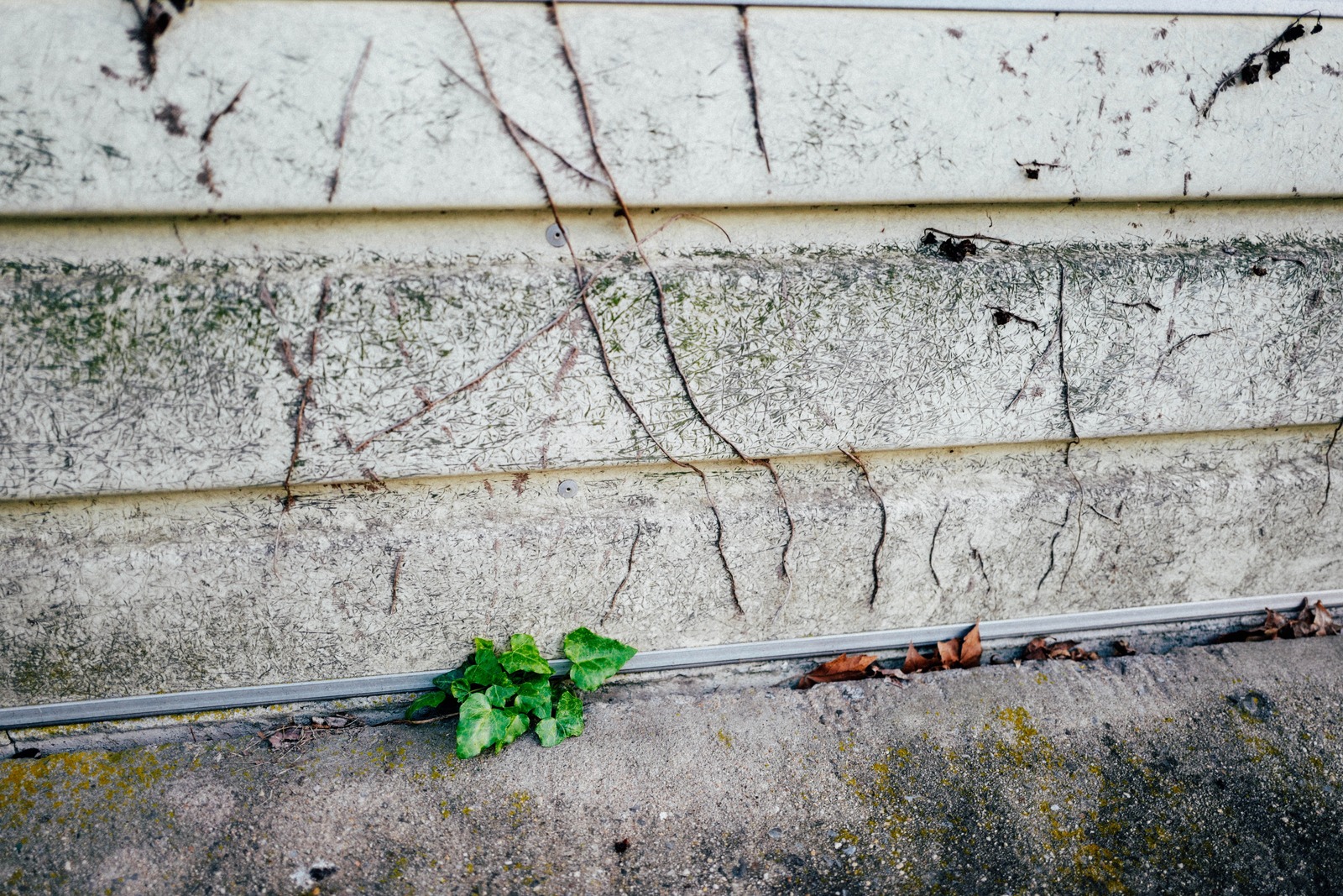 Resilience in Decay