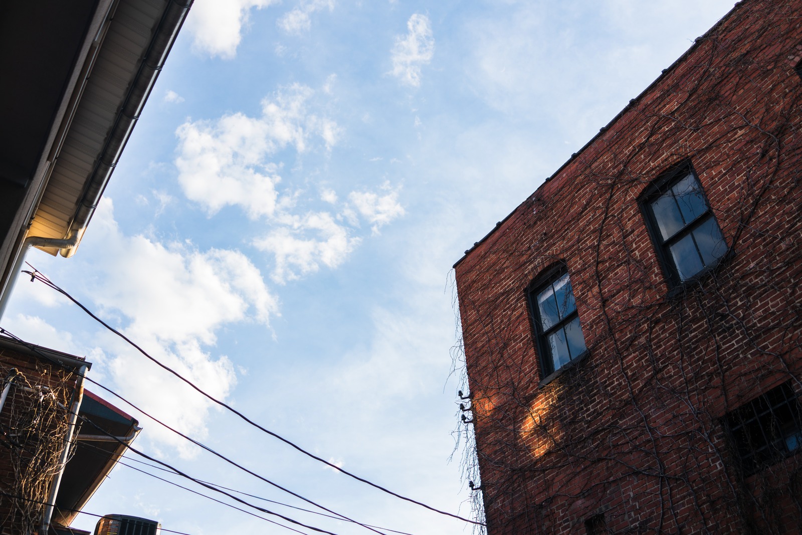 Urban Serenity