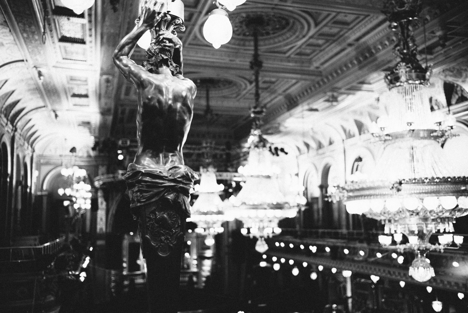Elegance in Shadows