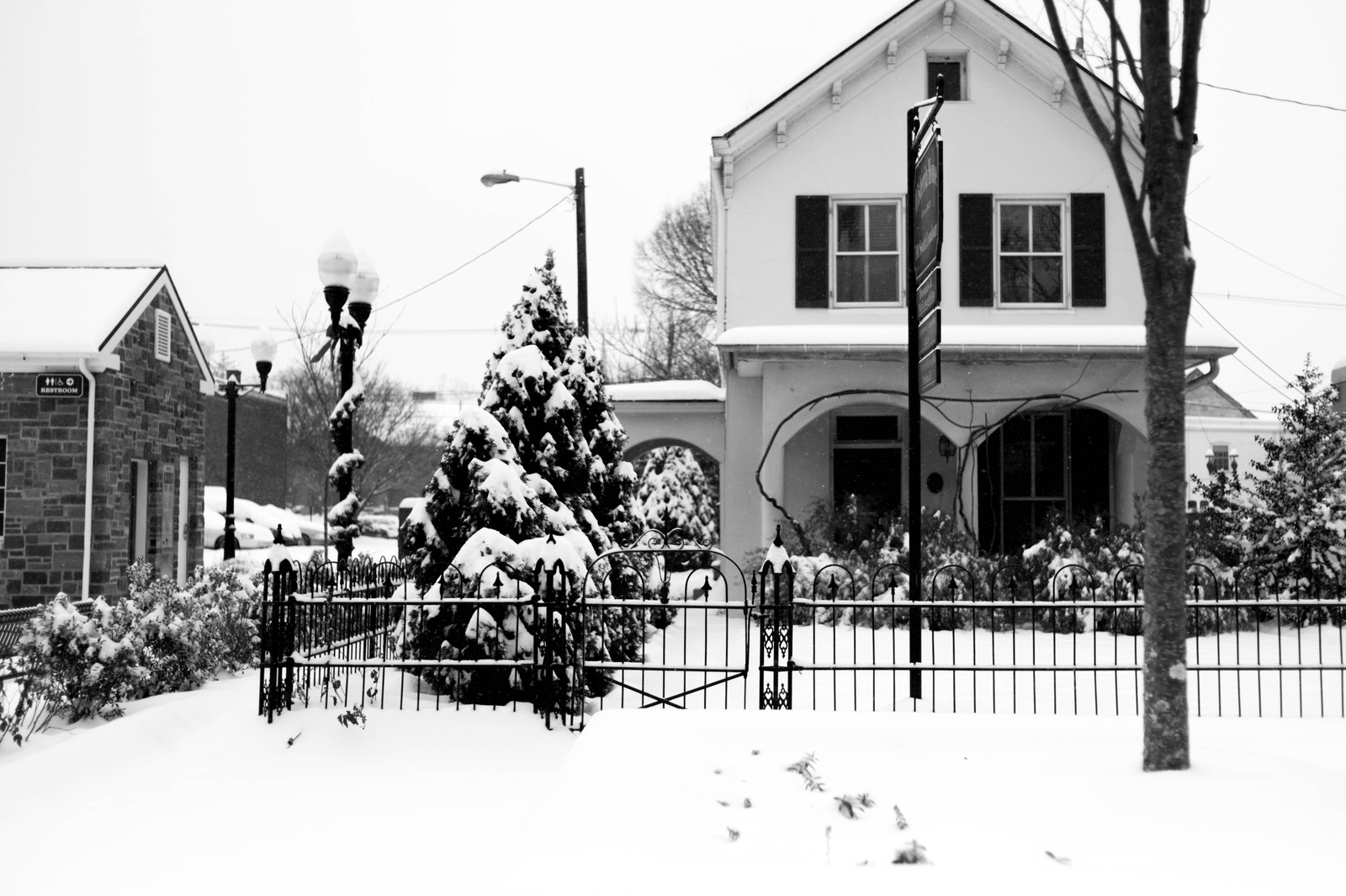 Winter's Embrace