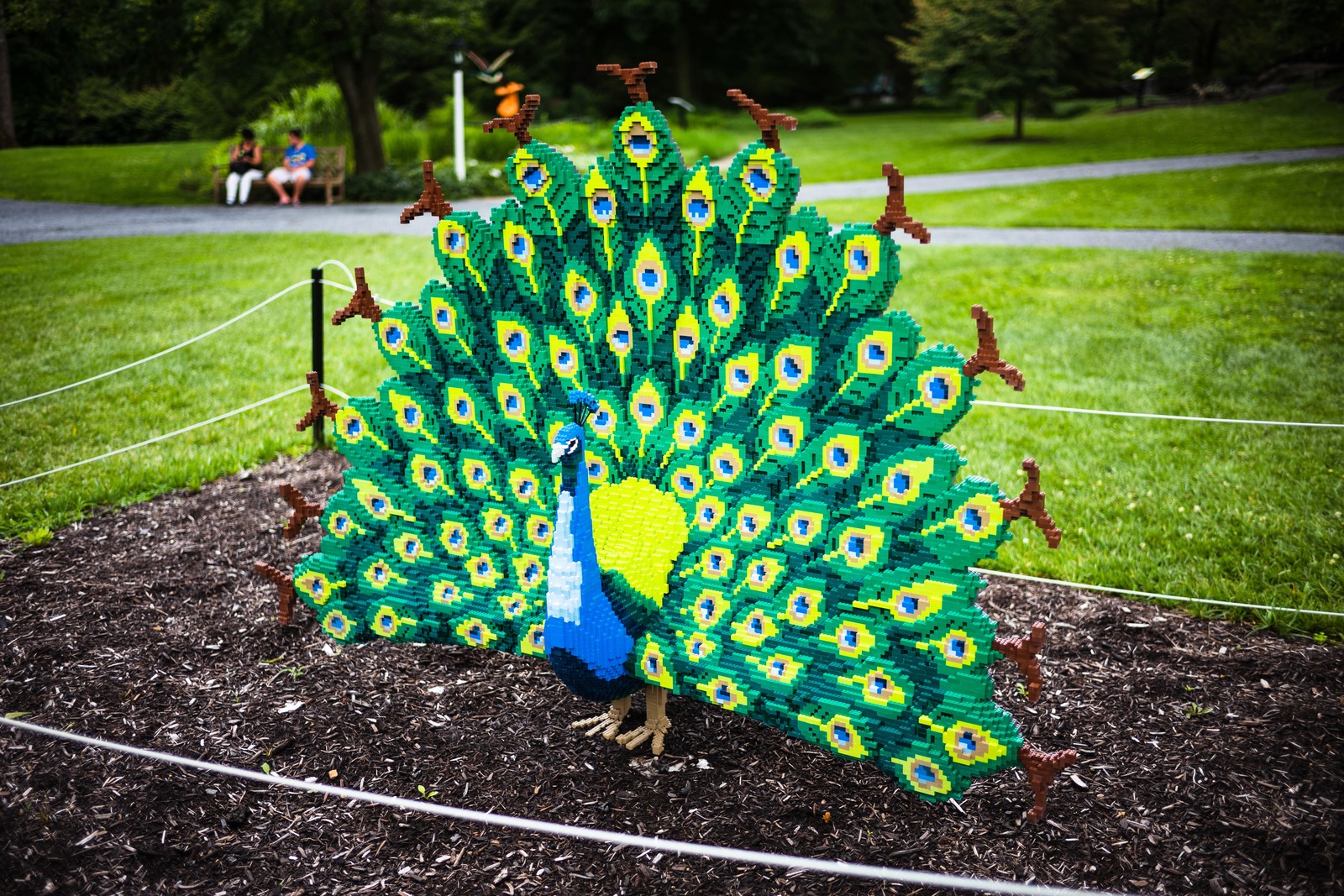 Vibrant LEGO Peacock Display