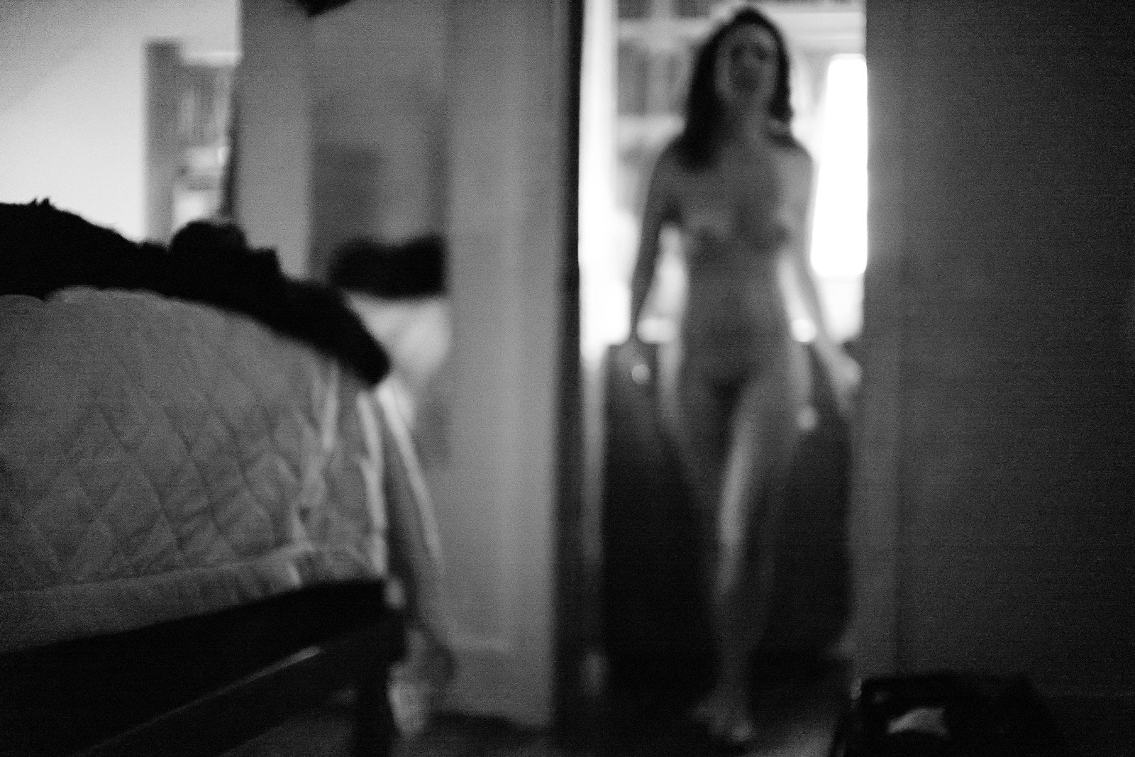 Veiled in Shadow