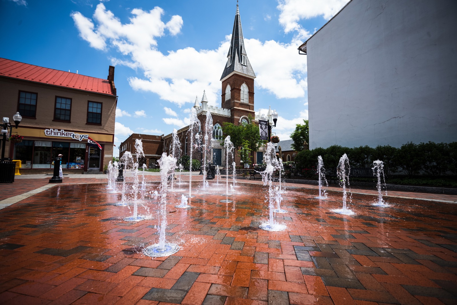 Joyful Urban Oasis