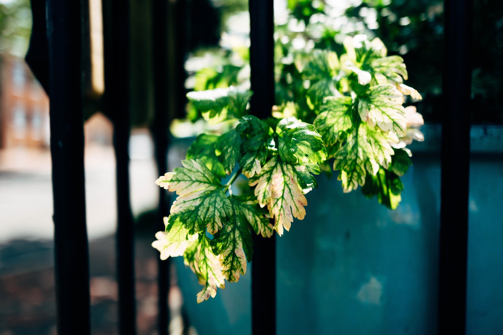 Nature's Resilience
