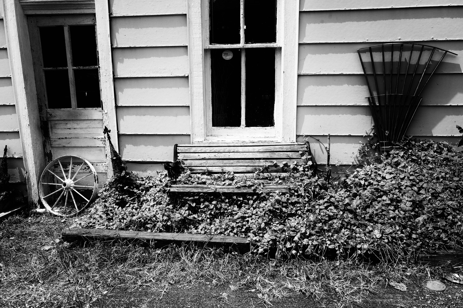 Echoes of Time