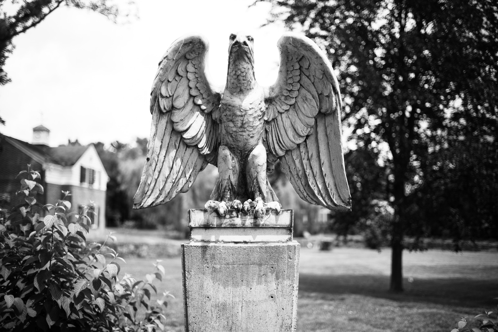 Wings of Time