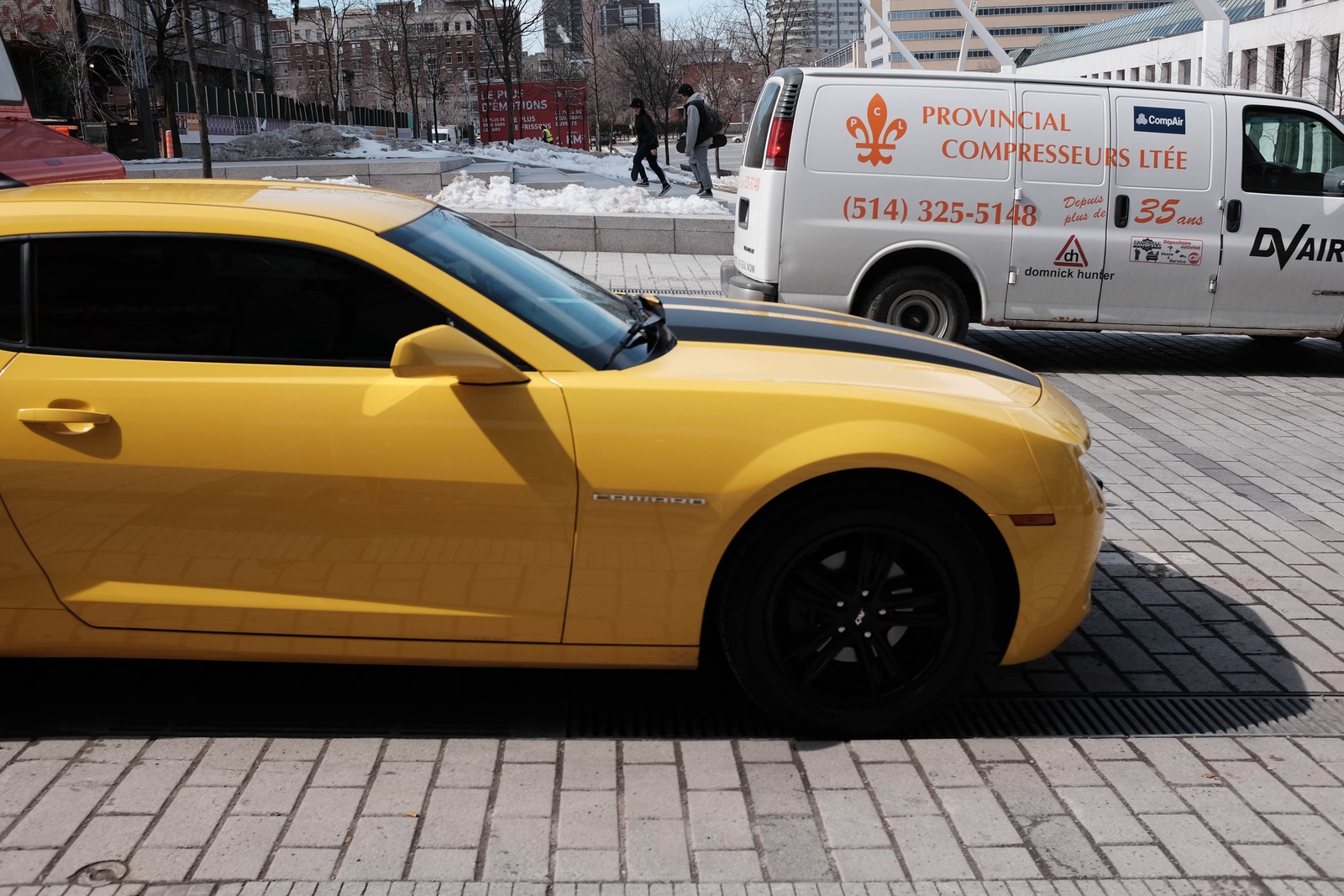 Bold Yellow Hybrid