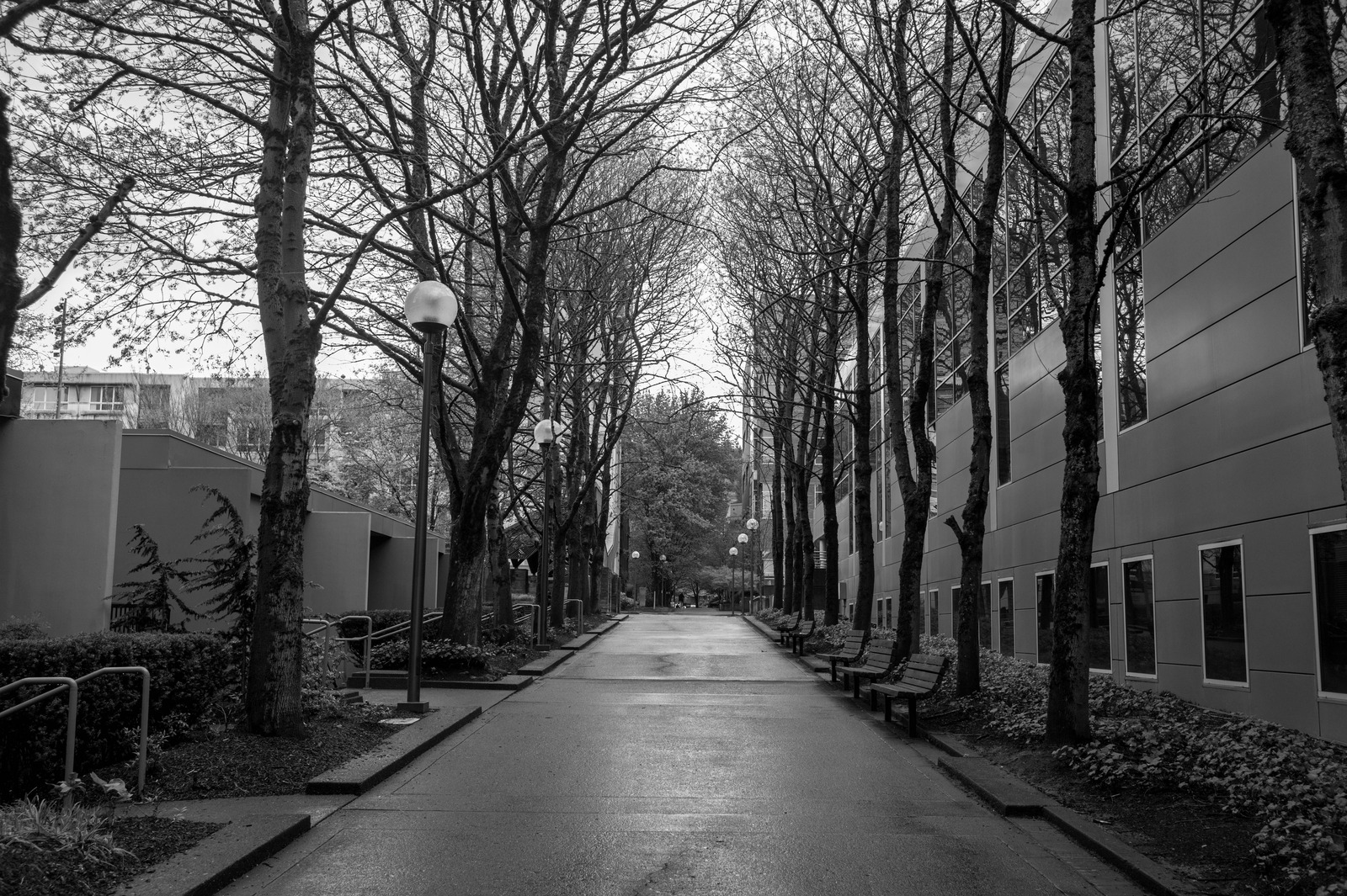 Silent Pathway