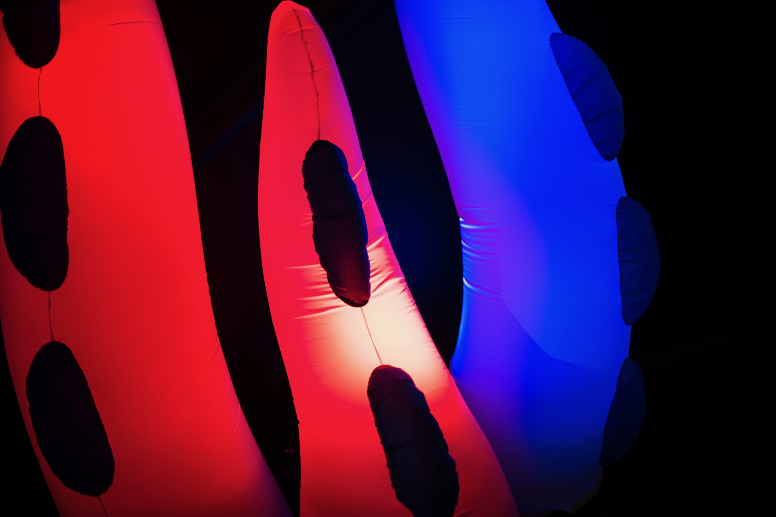 Illuminated Curves